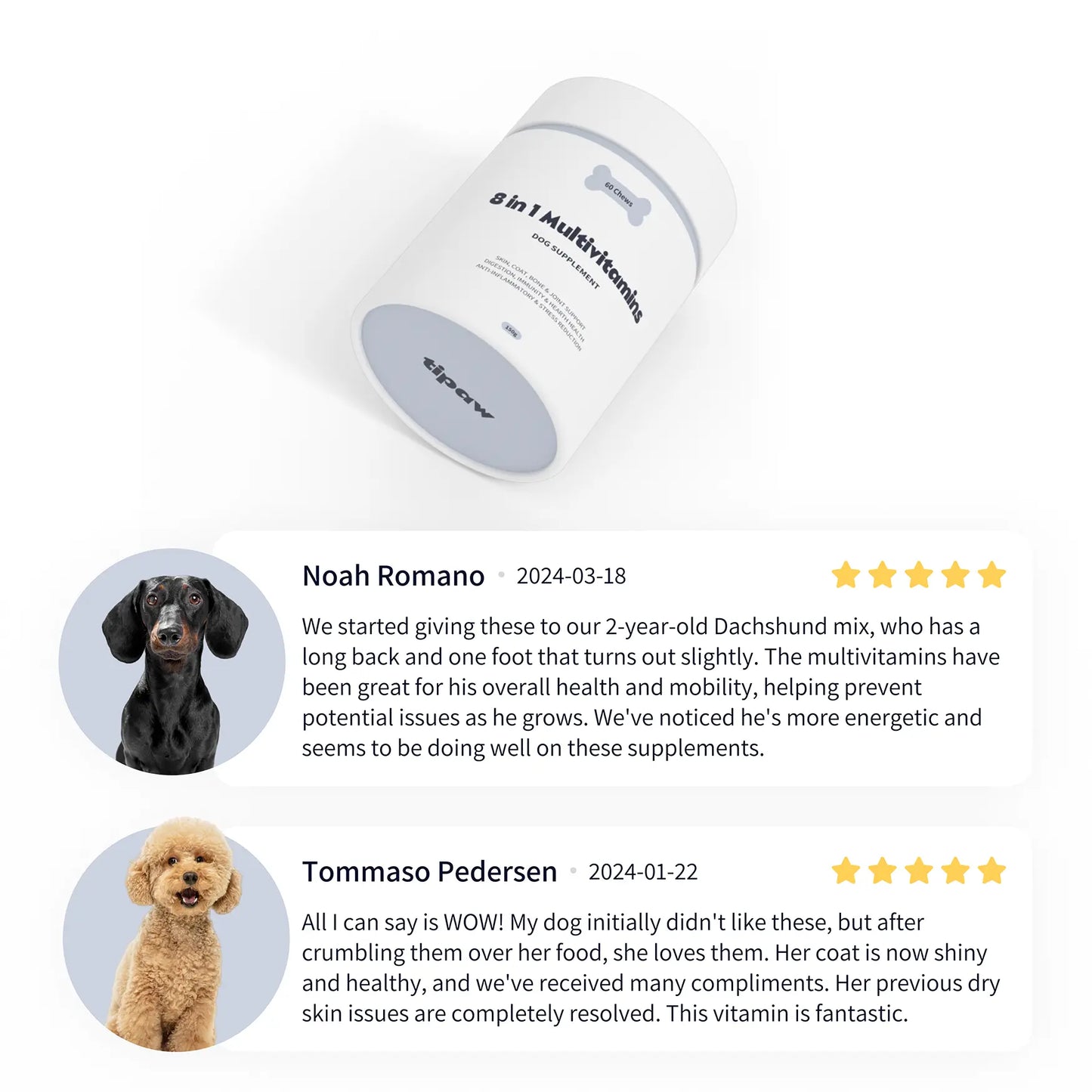 8-in-1 Multivitamins compléments pour chien