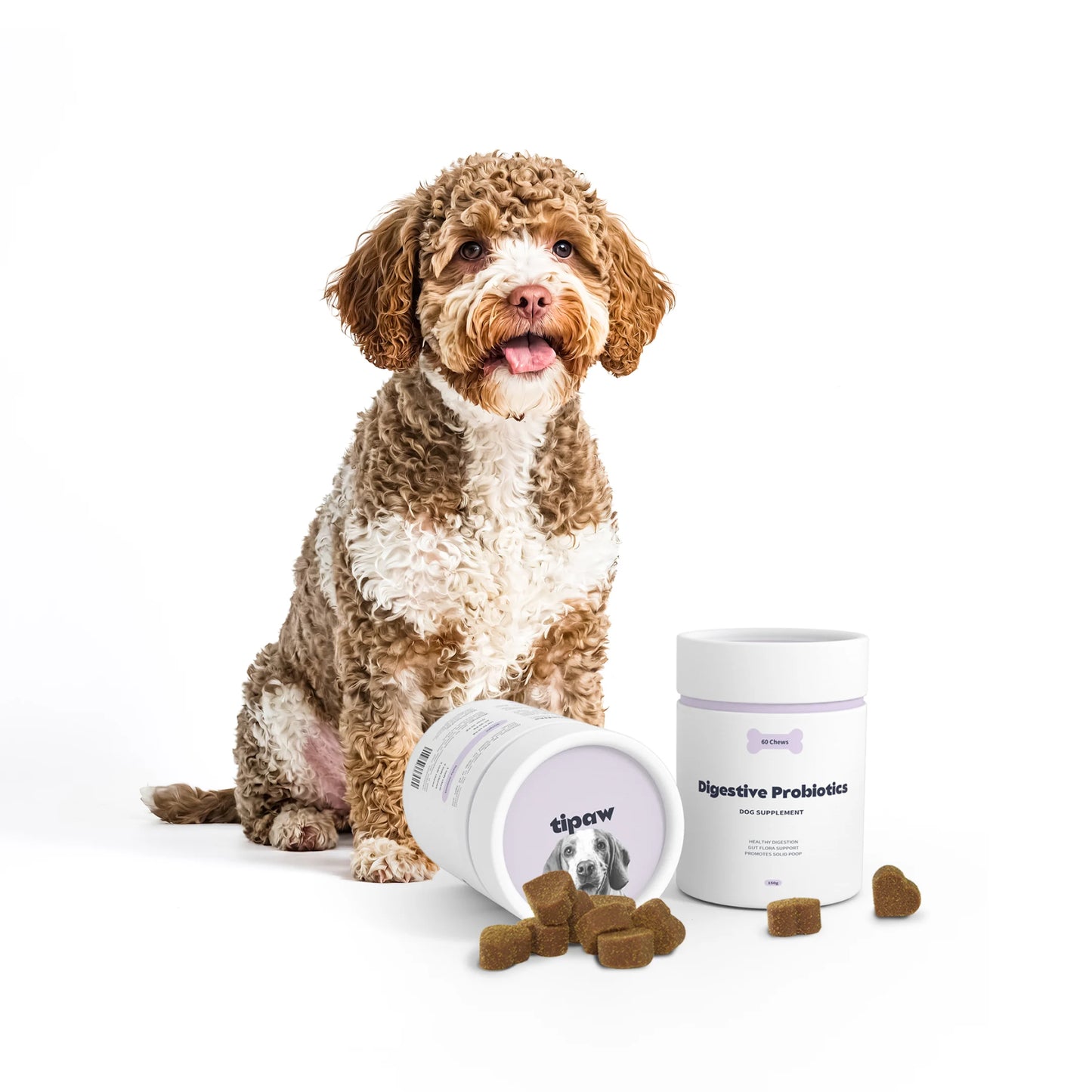 Digestive Probiotics Hondensupplement
