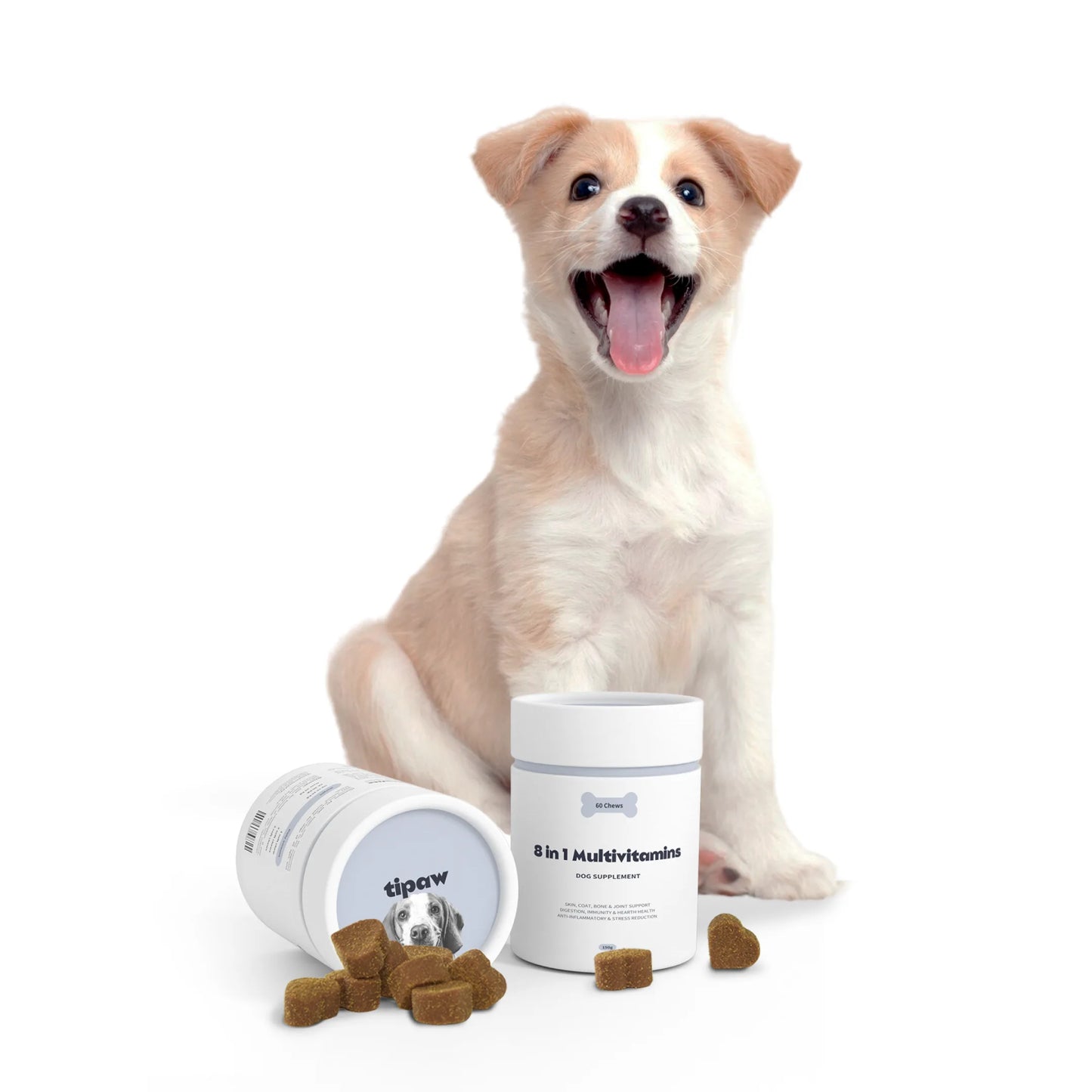 8-in-1 Multivitamins compléments pour chien
