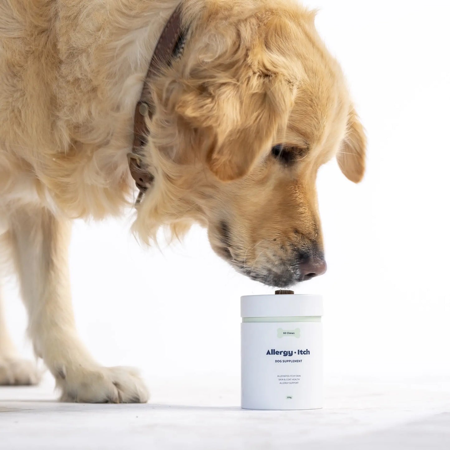 Allergy & Itch Supplement for Dogs