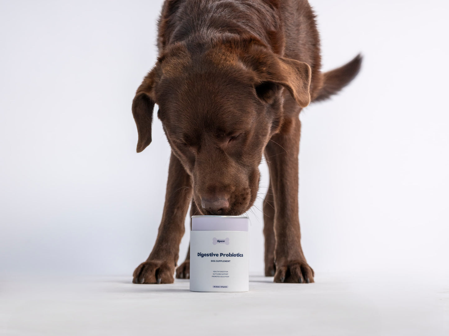 Digestive Probiotics Hondensupplement
