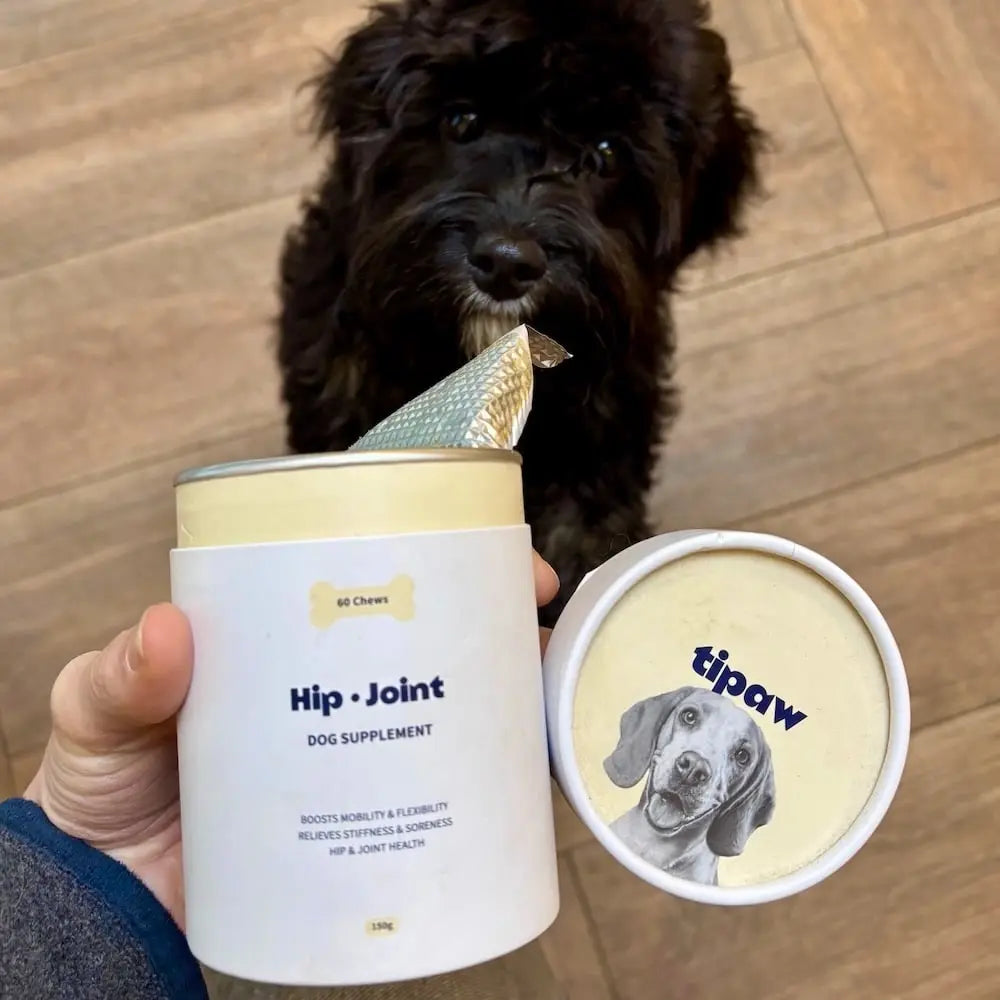 Hip & Joint compléments pour chien
