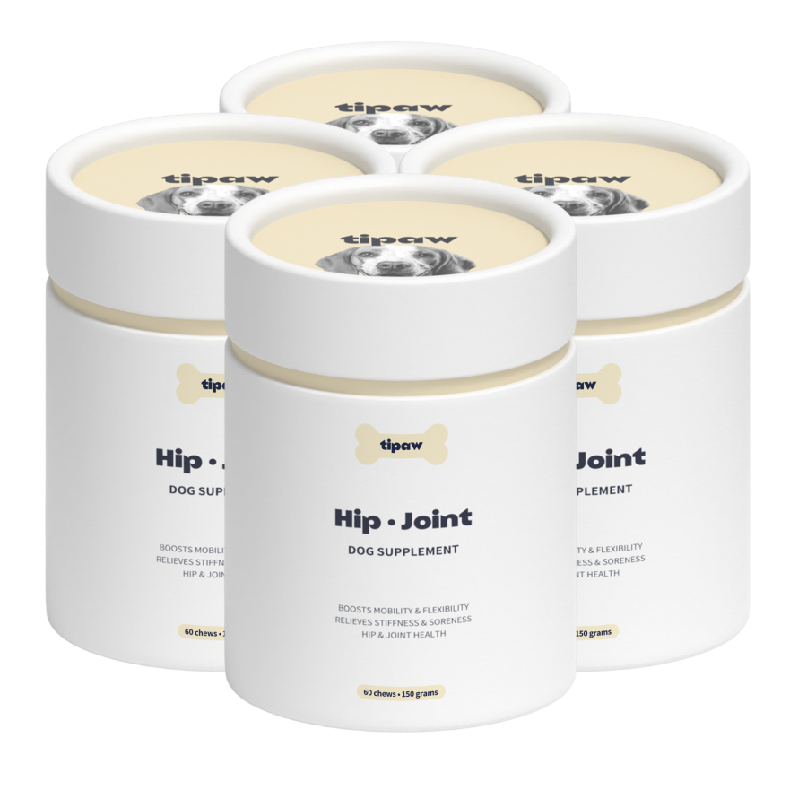 Hip & Joint compléments pour chien