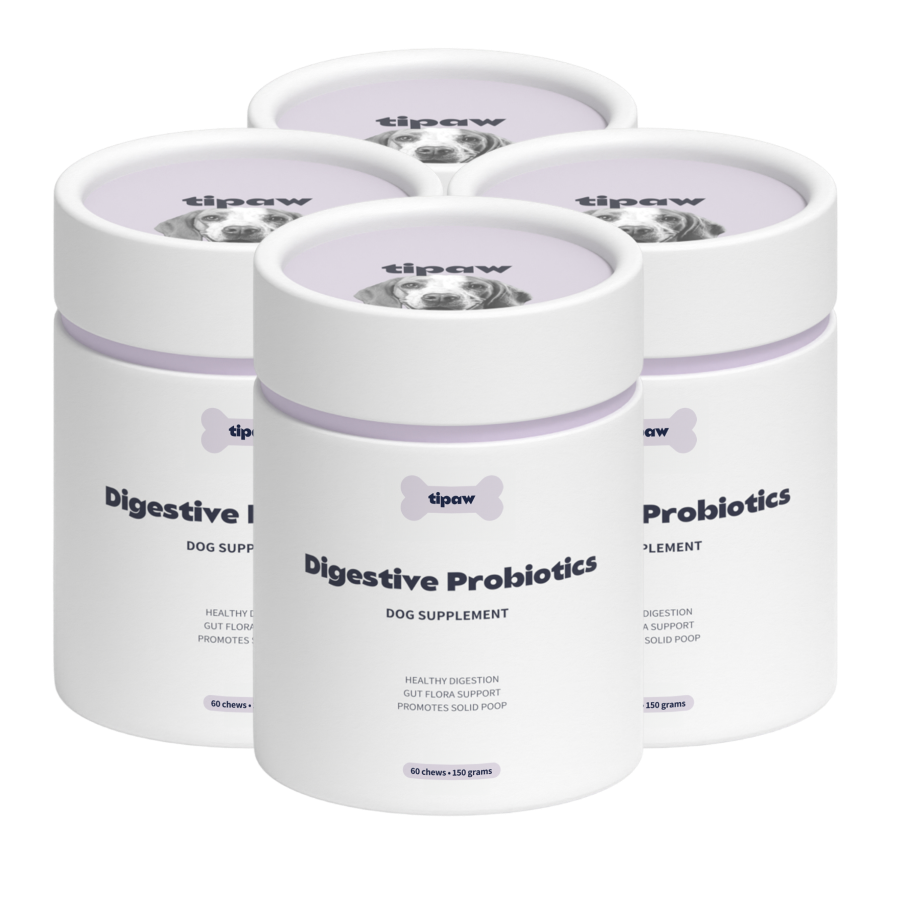 Digestive Probiotics Supplement for Dogs