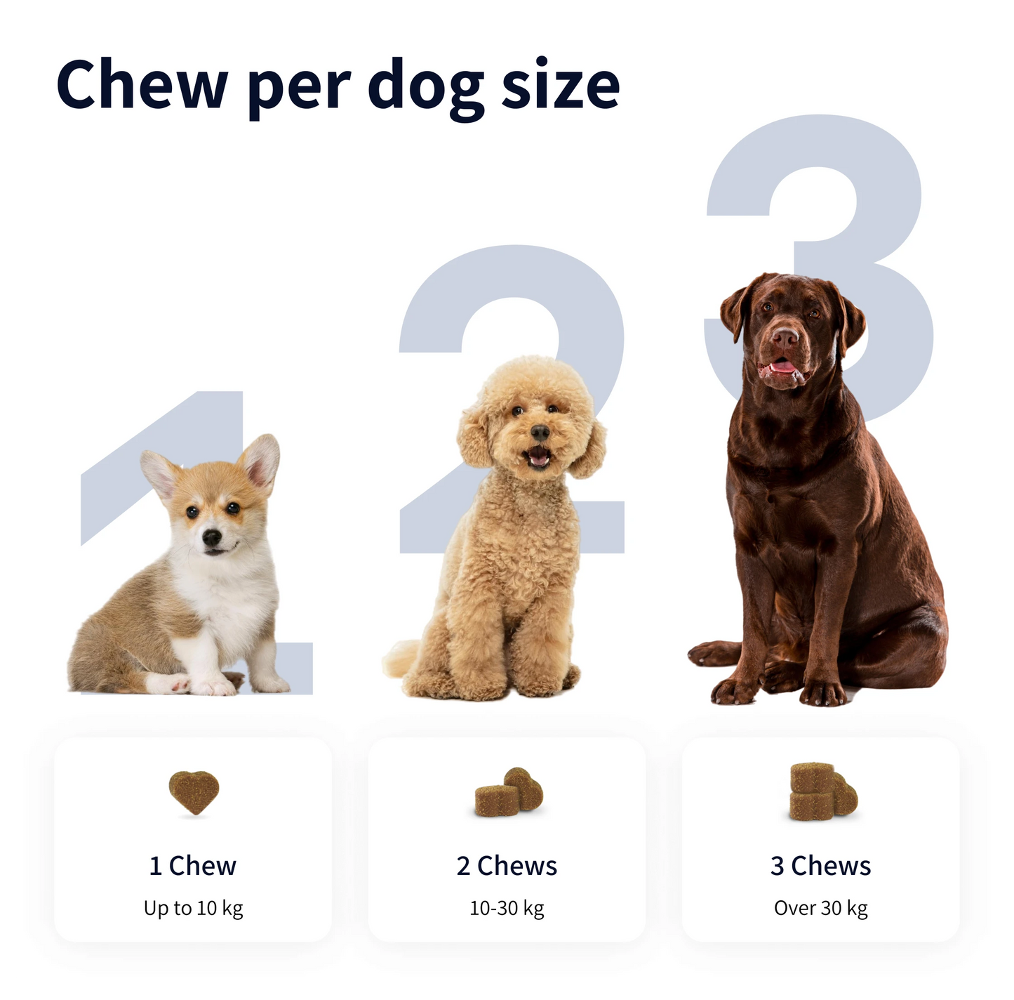 8-in-1 Multivitamins compléments pour chien