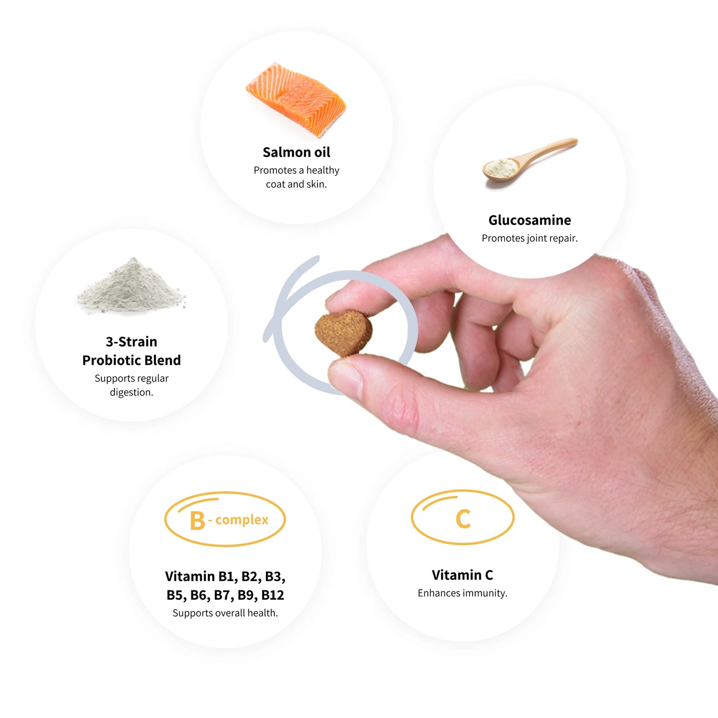 8-in-1 Multivitamins compléments pour chien