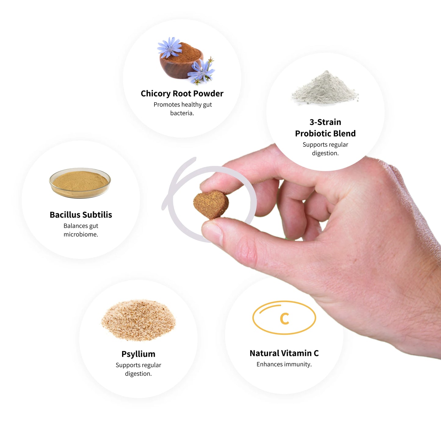 Digestive Probiotics Hondensupplement