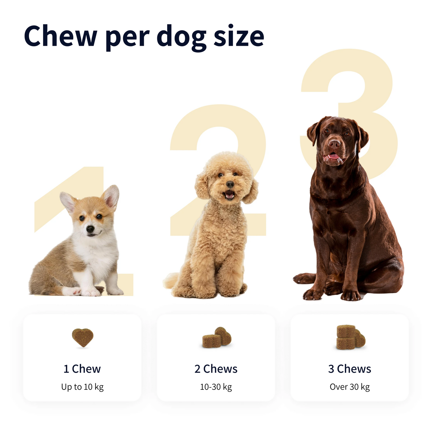 Hip & Joint compléments pour chien