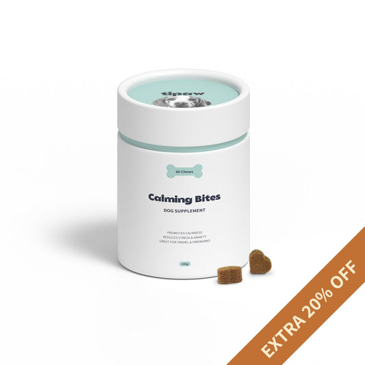 Calming Supplement for Dogs