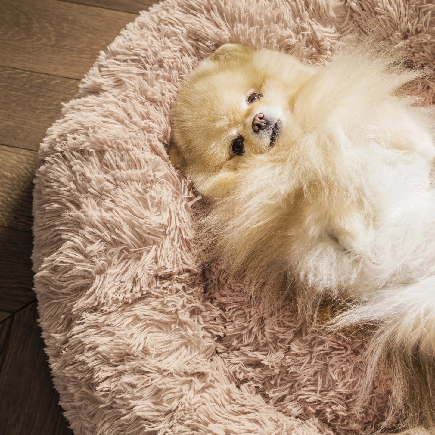 Calming Bed for Dogs