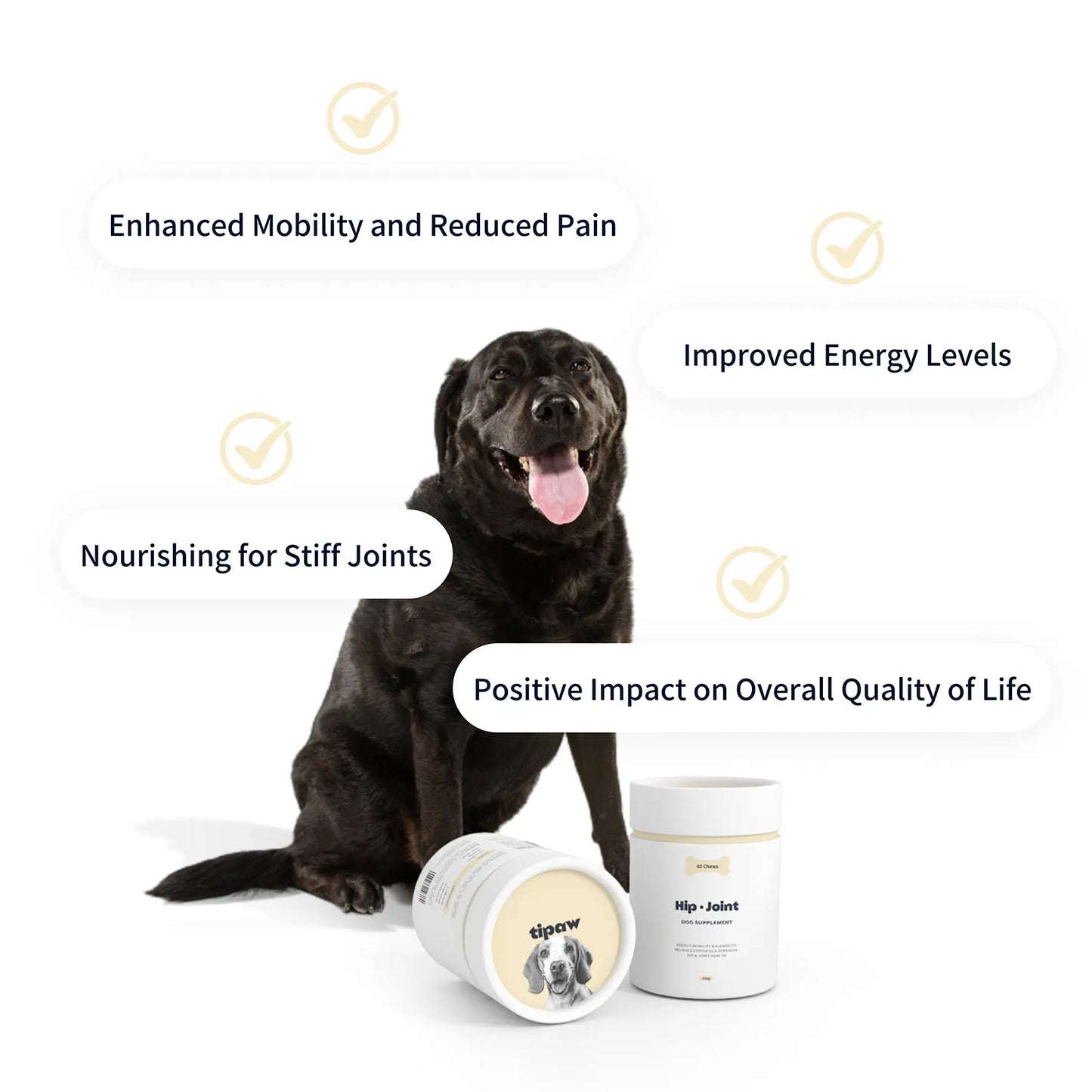 Hip & Joint compléments pour chien