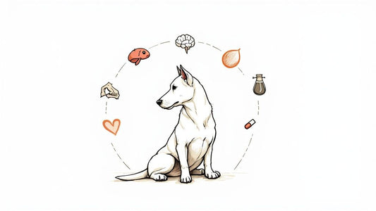 Supplements for Older Dogs: A Vital Guide (supplements for older dogs)