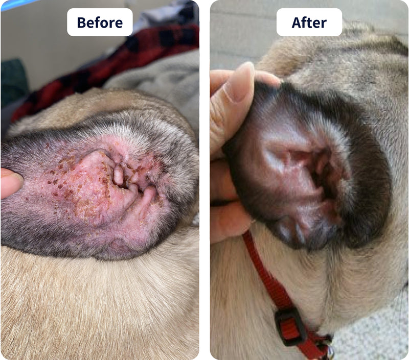 His wrinkles finally stopped smelling!