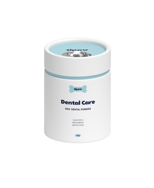 Dental Care Powder