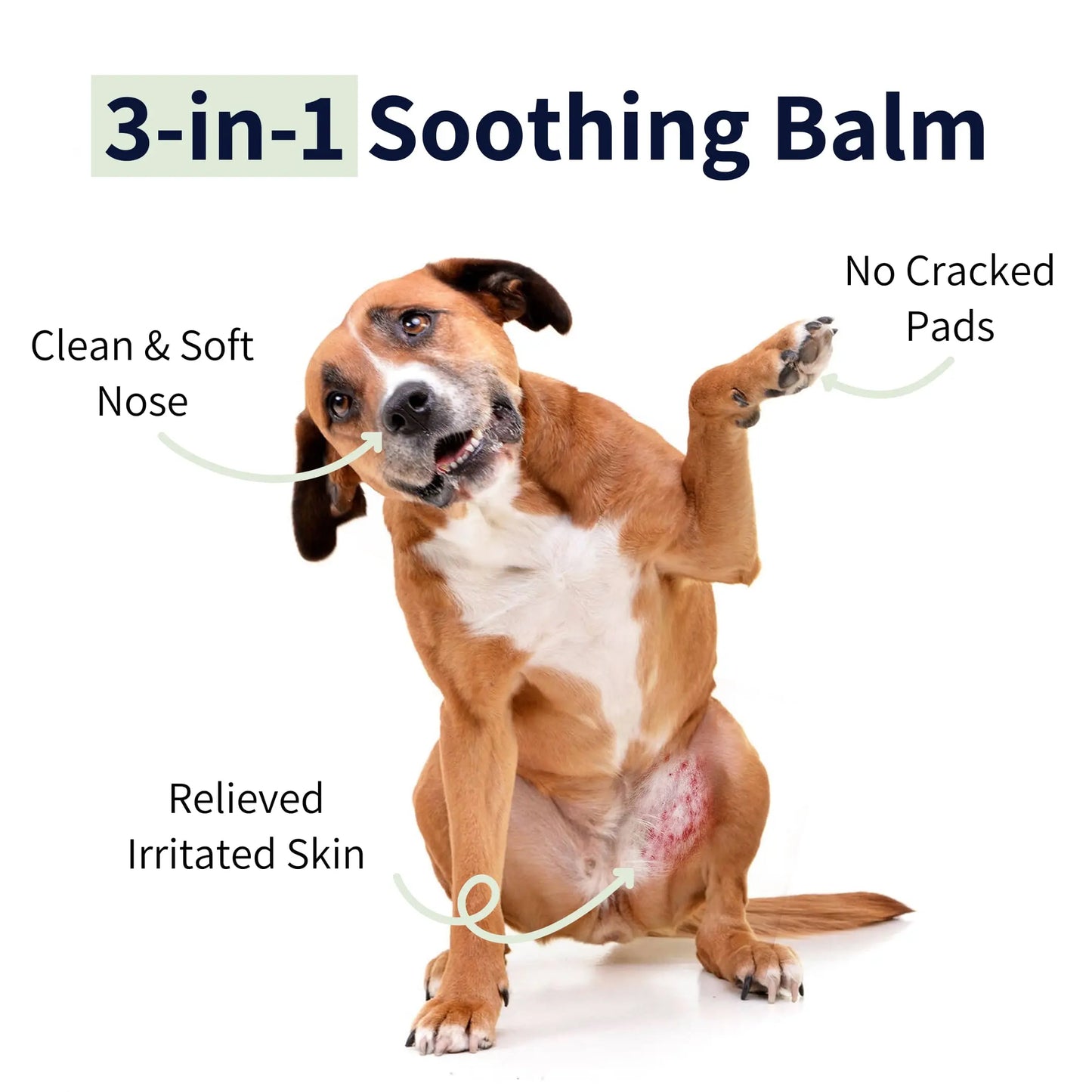 3-in-1 Soothing Pet Balm