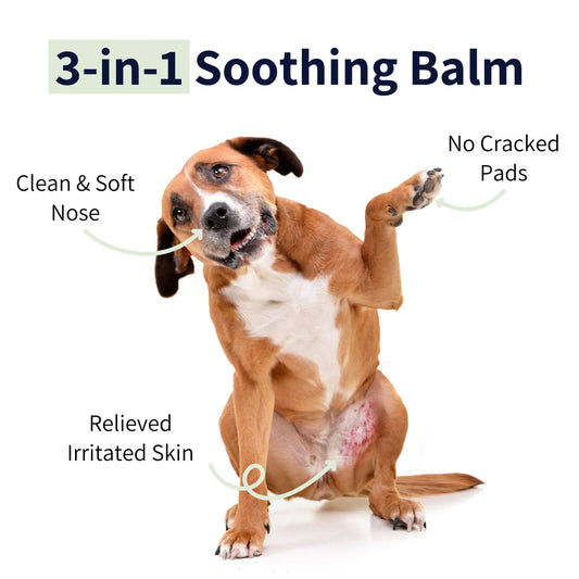 3-in-1 Soothing Pet Balm