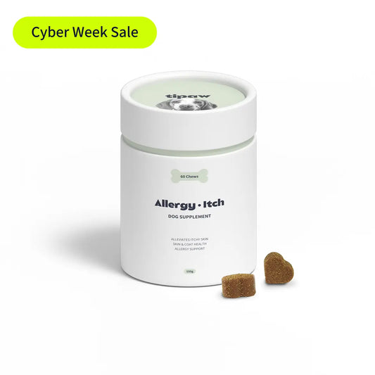Allergy & Itch Supplement for Dogs