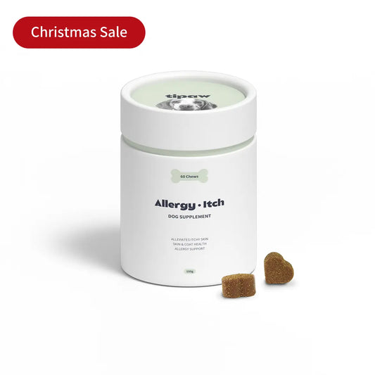 Allergy & Itch compléments pour chien