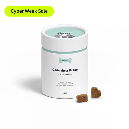 Calming Supplement for Dogs