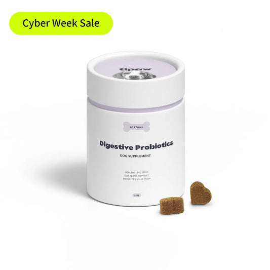 Digestive Probiotics Supplement for Dogs