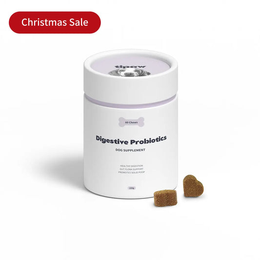 Digestive Probiotics compléments pour chien