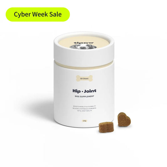 Hip & Joint Supplement for Dogs