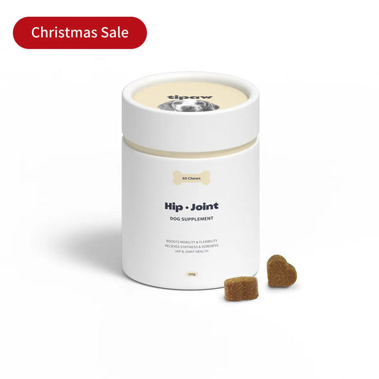 Hip & Joint compléments pour chien