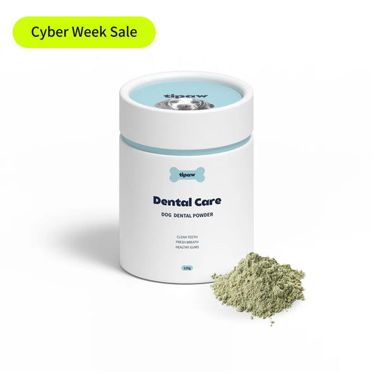 Dental Care Powder for Dogs