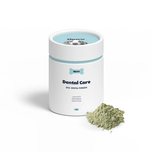 Dental Care Powder