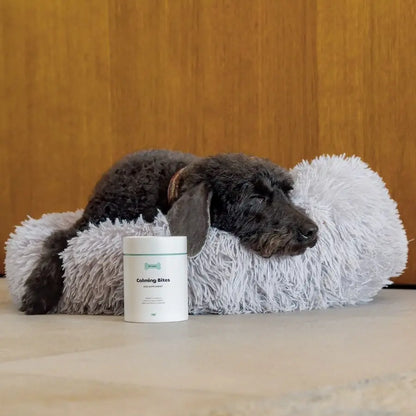 Calming Bites compléments pour chien