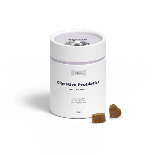Digestive Probiotics compléments pour chien