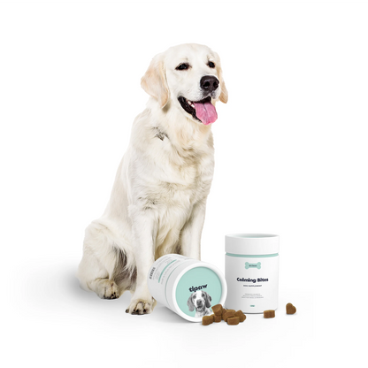 Calming Bites compléments pour chien