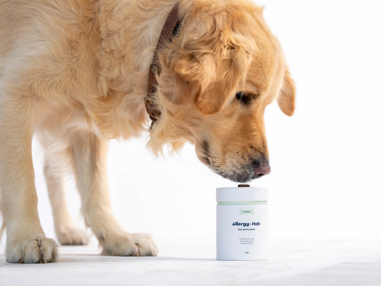 Allergy & Itch Supplement for Dogs