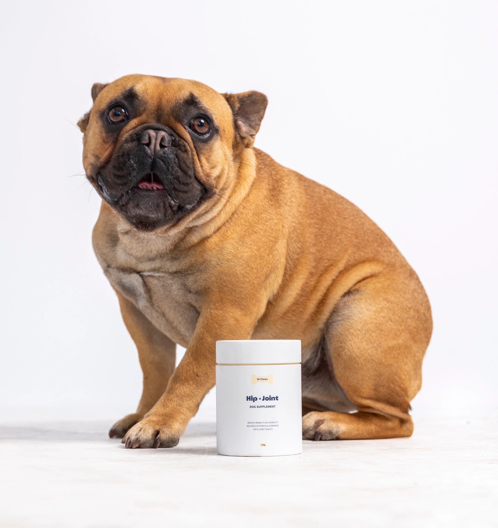 Hip Joint Supplement for Dogs – Tipaw