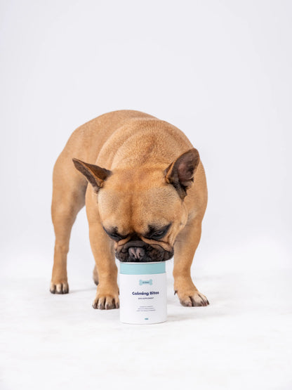 Calming Supplement for Dogs