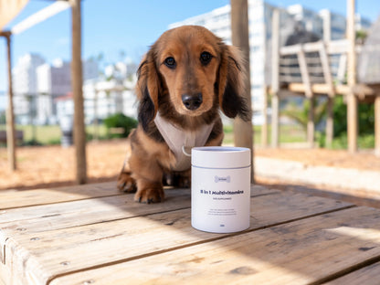 8-in-1 Multivitamins Supplement for Dogs