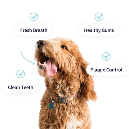 Dental Care Powder for Dogs