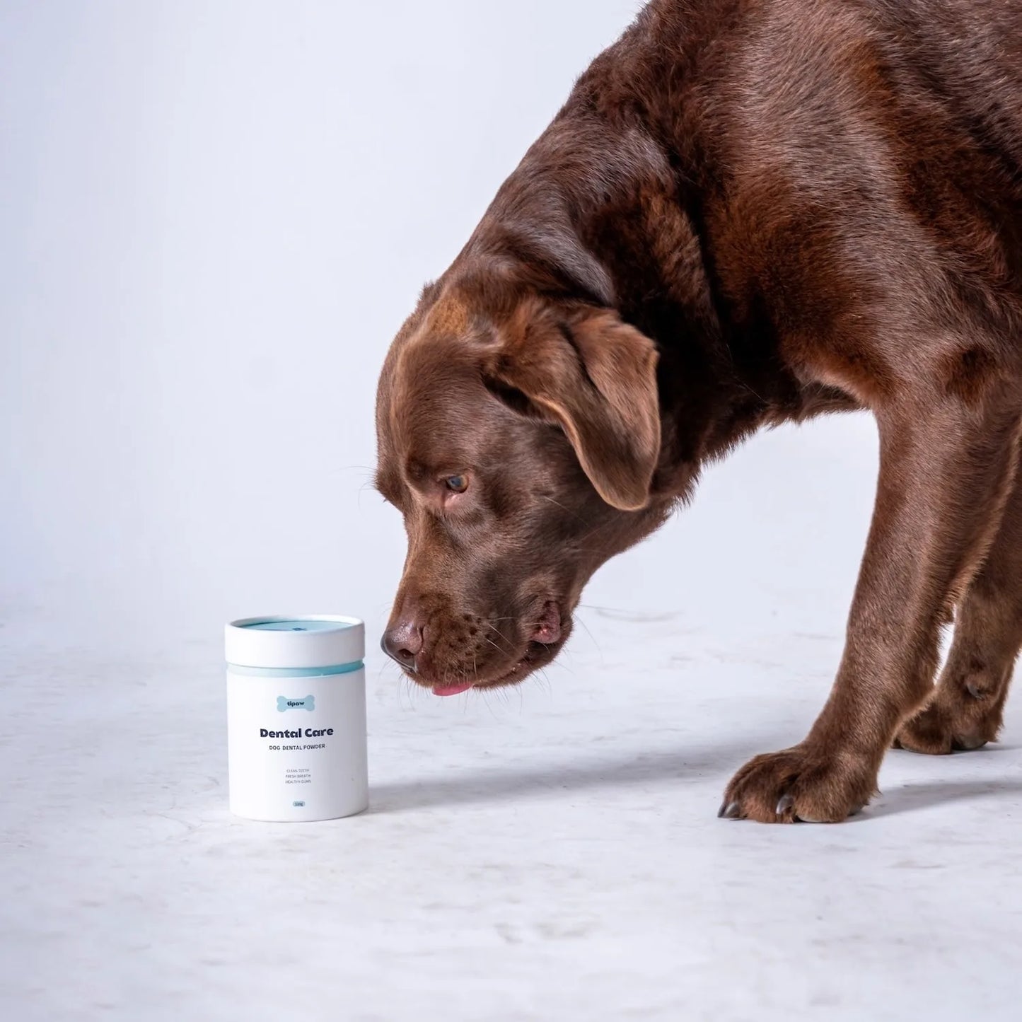 Dental Care Powder for Dogs