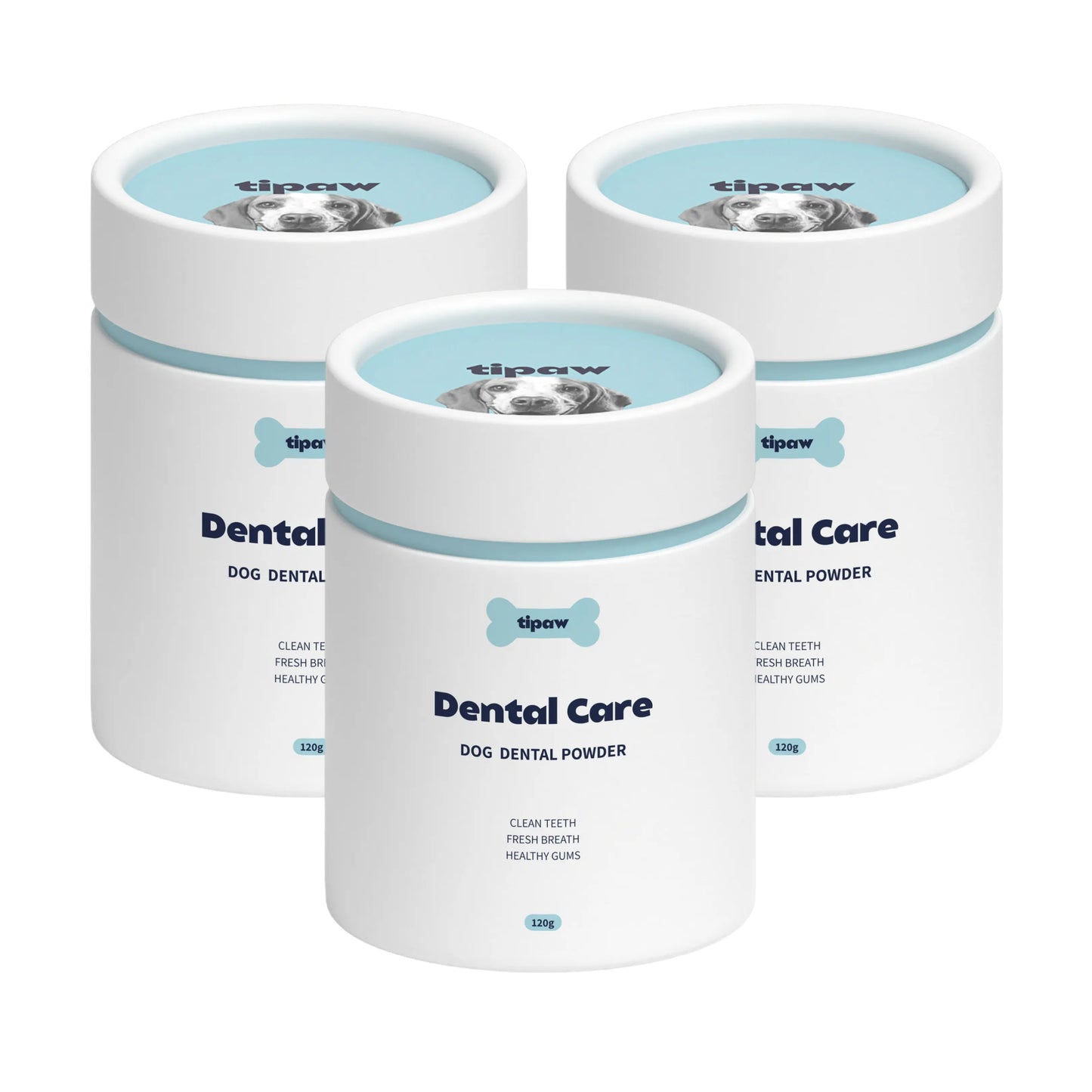 Dental Care Powder