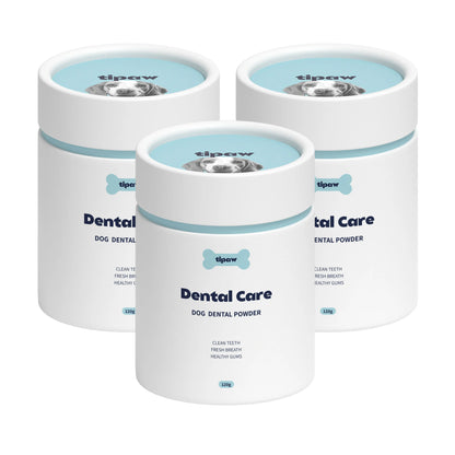 Dental Care Powder