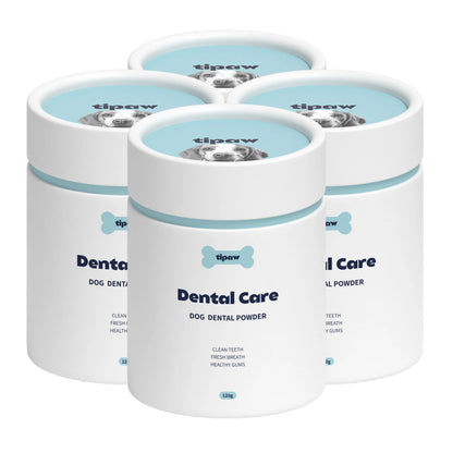 Dental Care Powder