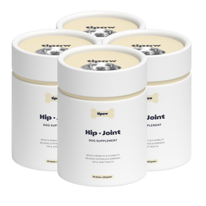 Hip & Joint compléments pour chien