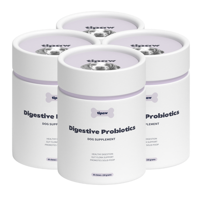 Digestive Probiotics Supplement for Dogs