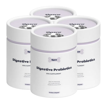 Digestive Probiotics compléments pour chien