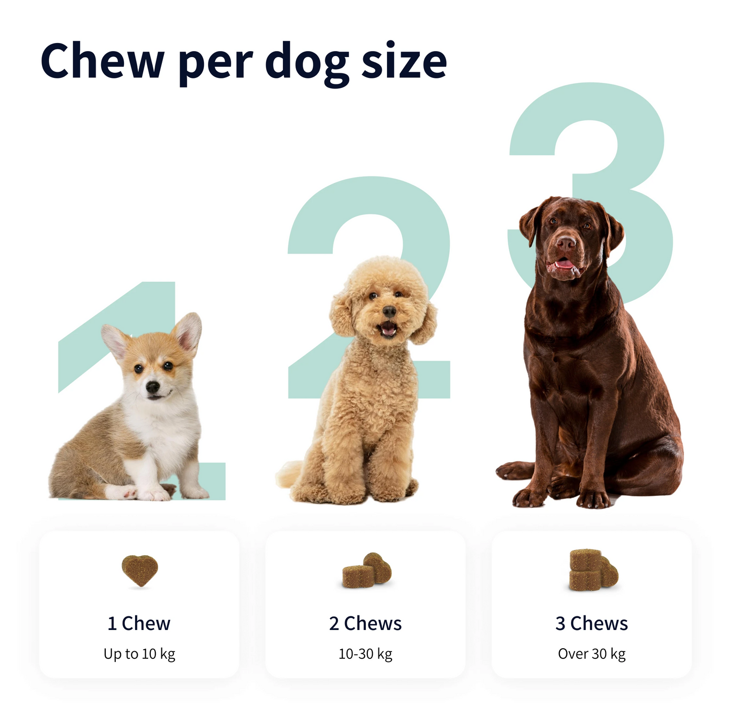 Calming Bites compléments pour chien