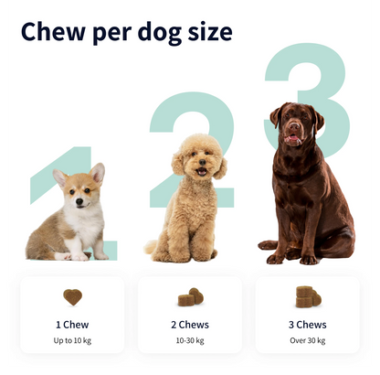 Calming Bites compléments pour chien
