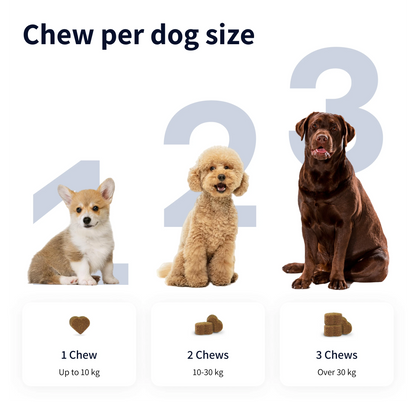 8-in-1 Multivitamins compléments pour chien