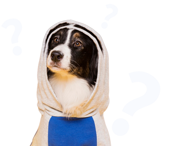 Frequently Asked Questions