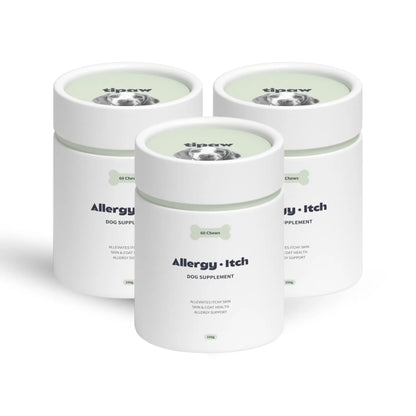 Allergy & Itch compléments pour chien