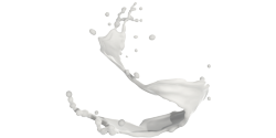 Colostrum